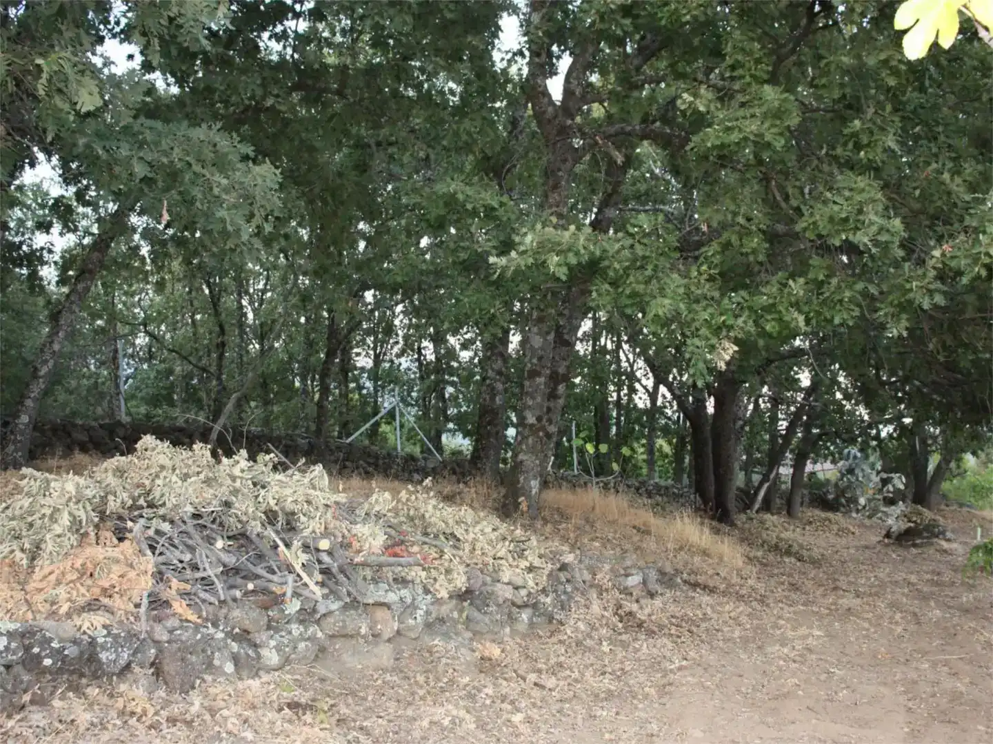 Finca rústica en venta en Losar de la Vera