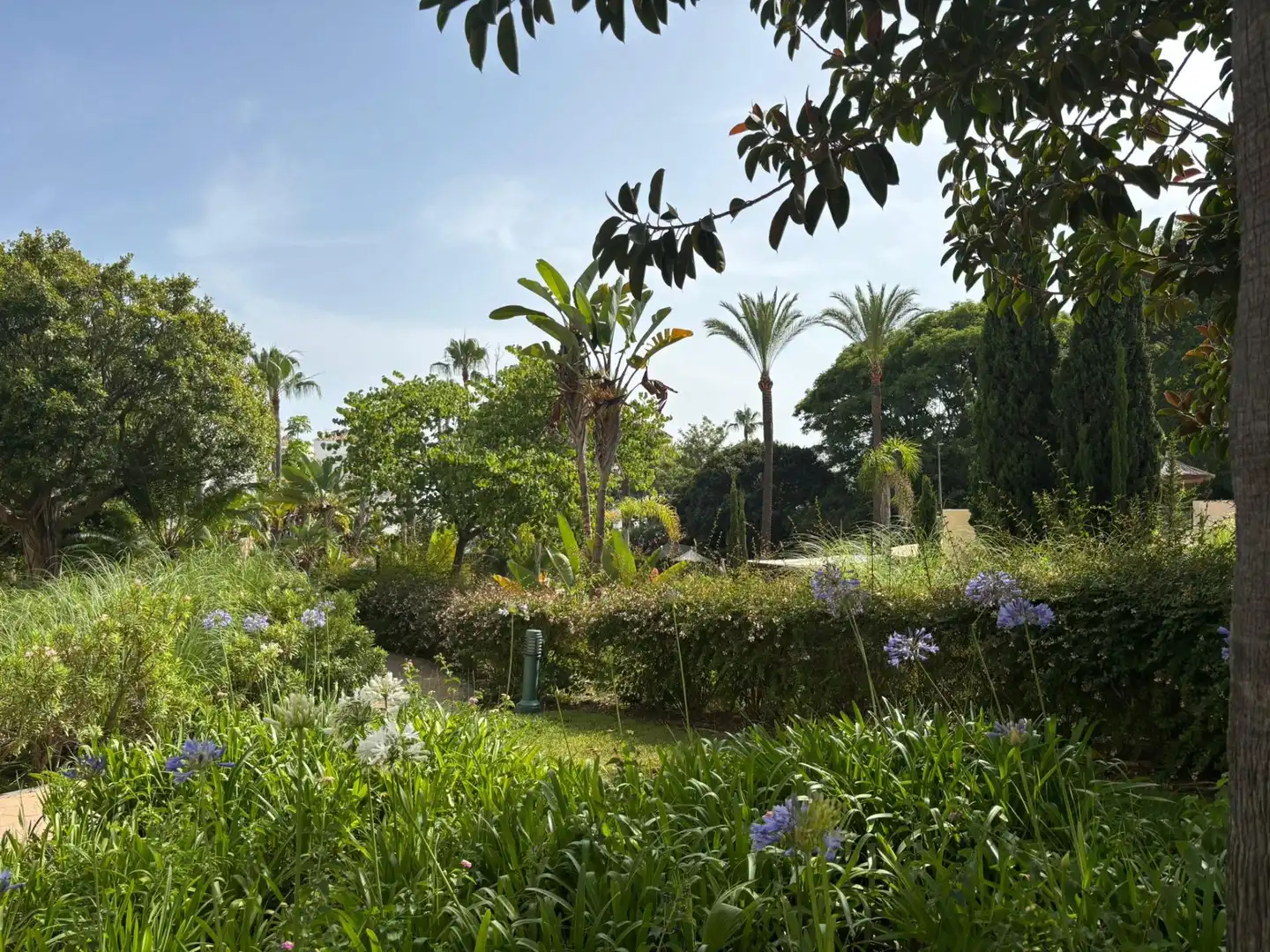 Jardín de Apartamento de alquiler en Marbella con Aire acondicionado, Terraza y Piscina comunitaria