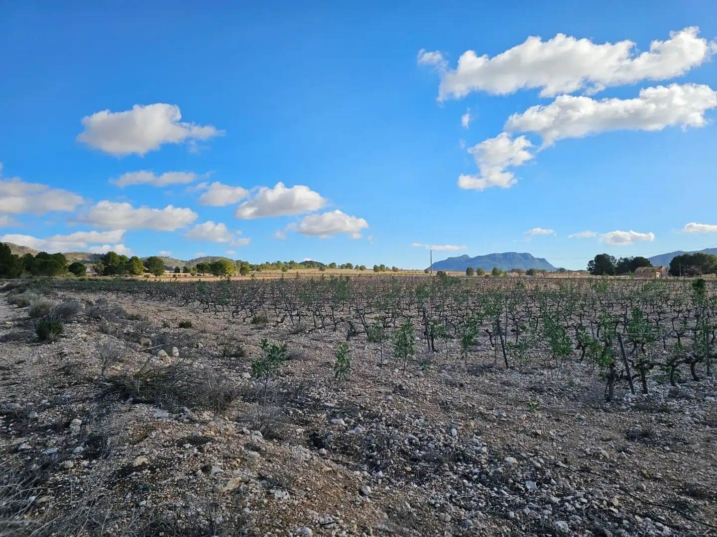 Residencial en venta en Salinas