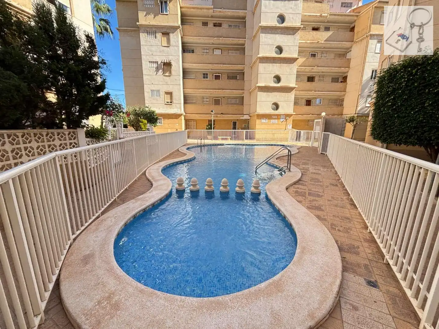 Schwimmbecken von Wohnungen zur Miete in Torrevieja mit Terrasse, Schwimmbad und Möbliert
