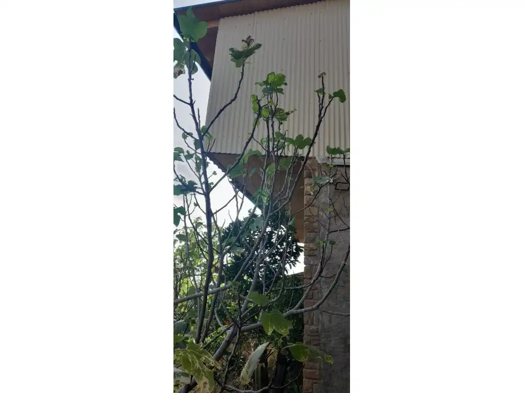 Jardín de Casa o chalet en venta en La Pobla de Segur