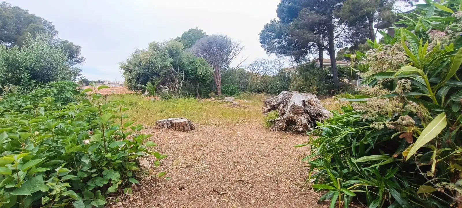 Rural land for sale in SAL