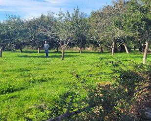 Residential for sale in VV-6, 20, Selorio - Tornón