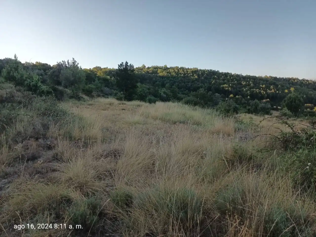 Land for sale in Isábena