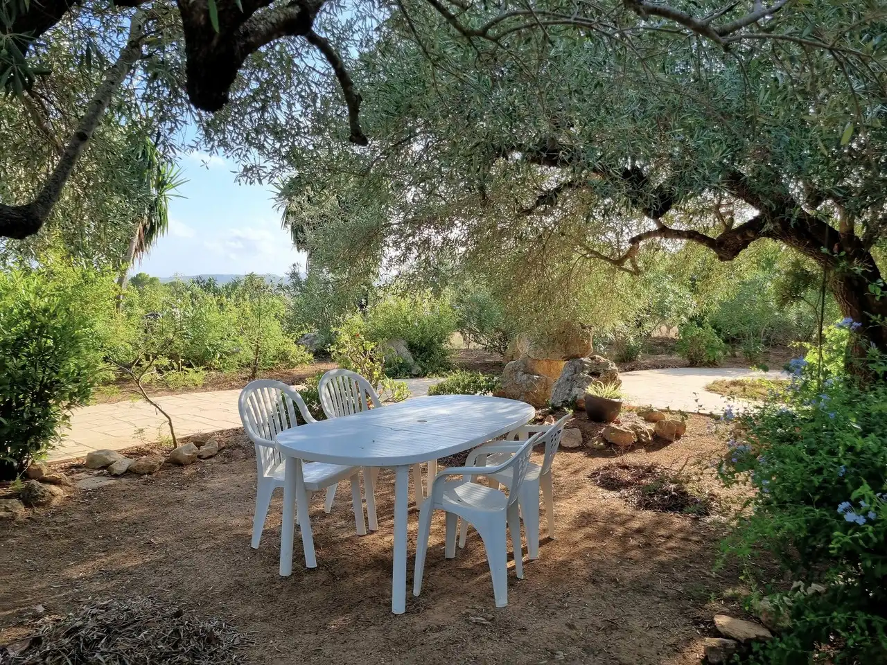Casa rústica con piscina en venta en Partida les Vinyases, imagen 8