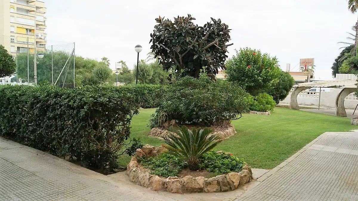 Mini appartamento con terrazza in affitto a San Gabriel - Palmeral - Urbanova, imagen 29