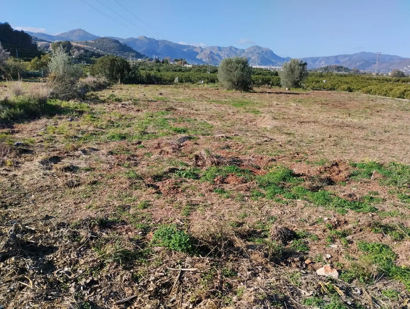 Finca rústica en venta en La Vall d'Ebo