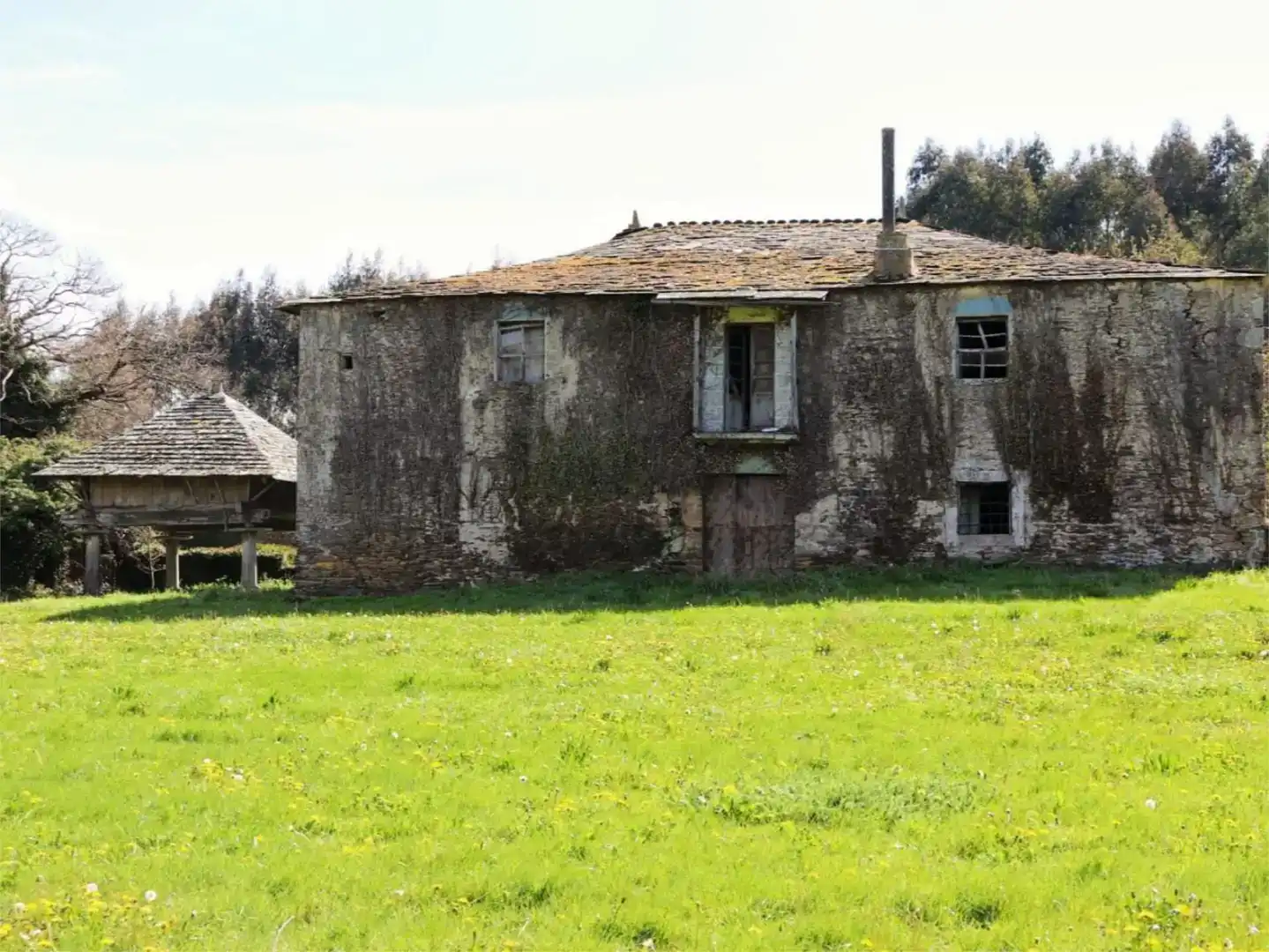 Vista exterior de Finca rústica en venta en Pol