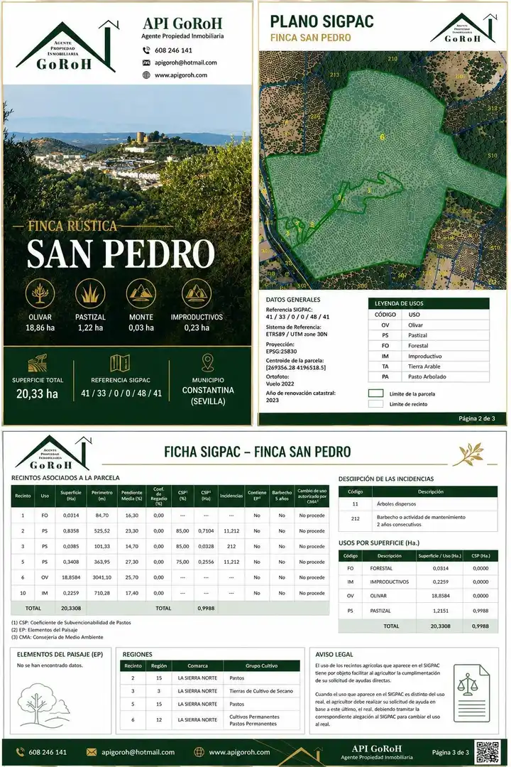Land for sale in Constantina