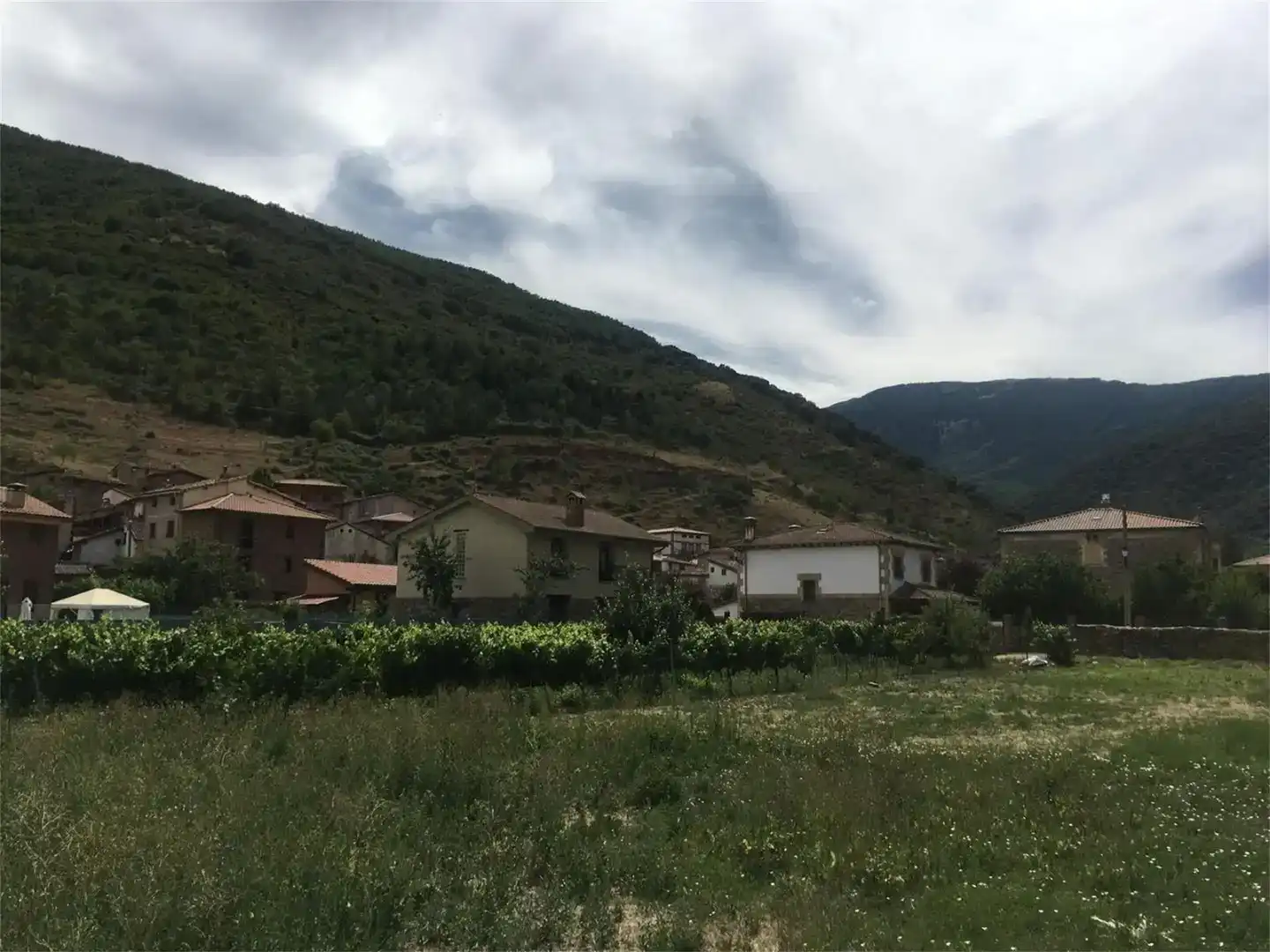 Terreno en venta en Viniegra de Abajo