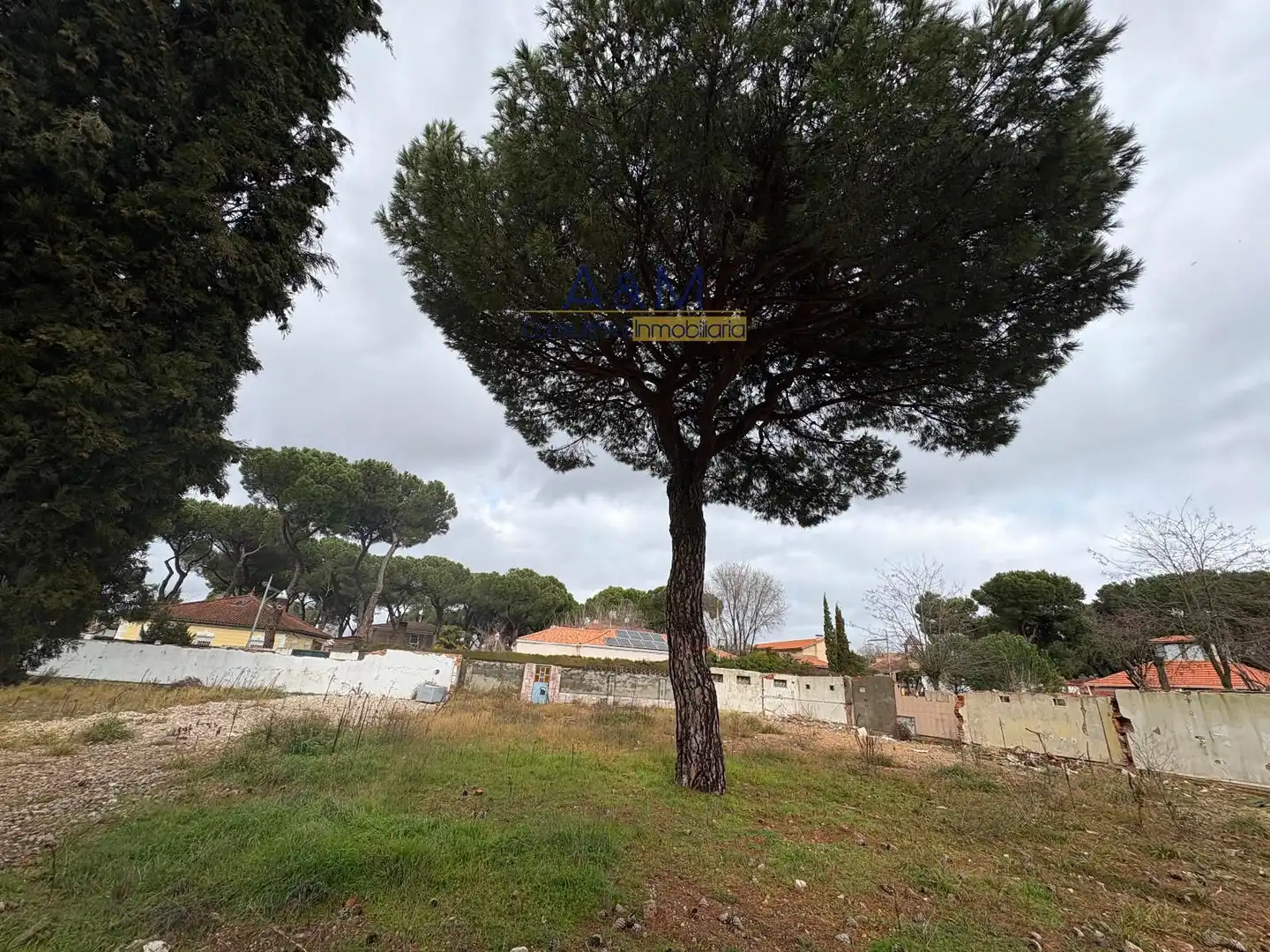 Residential land for sale in Mejorana 2, imagen 12