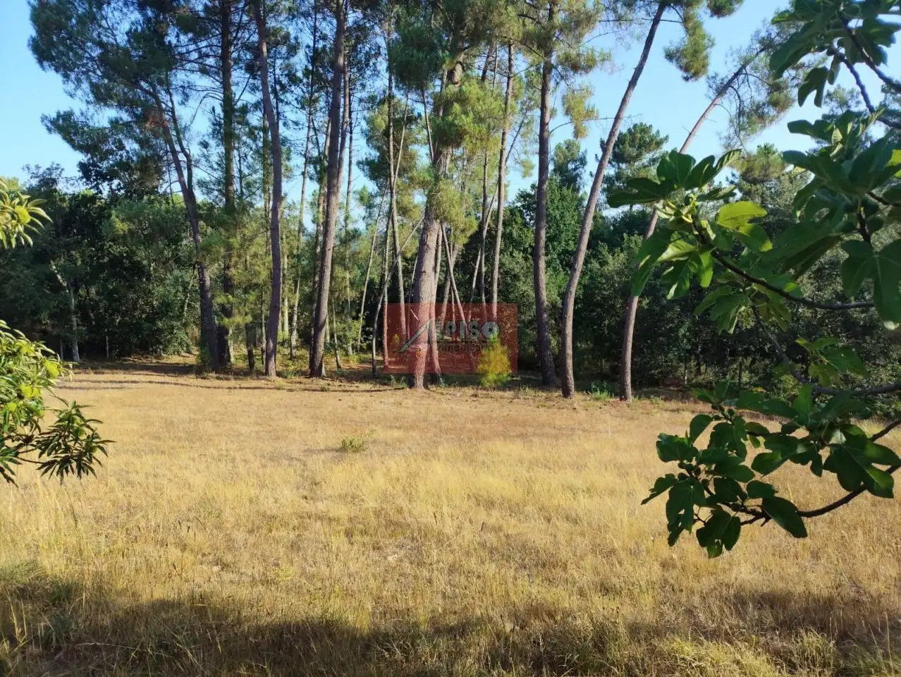 Casa amb terrassa en venda a Amoeiro, imagen 37