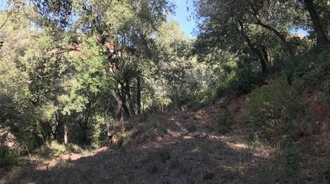 Terreno con vistas increibles a montserrat, immagine 4