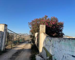 Vista exterior de Residencial en venda en Chipiona