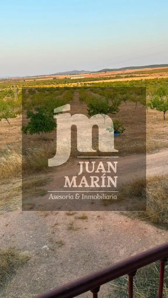Jardí de Finca rústica en venda en Peñas de San Pedro amb Calefacció, Jardí privat i Moblat
