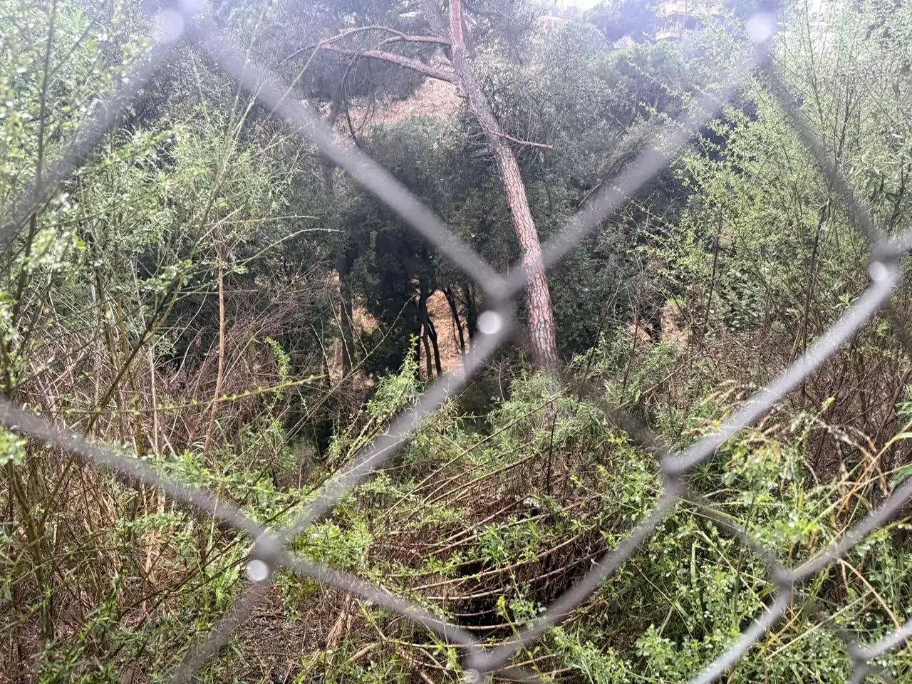 Terreno residenziale in vendita a Can Massuet del Far, imagen 3