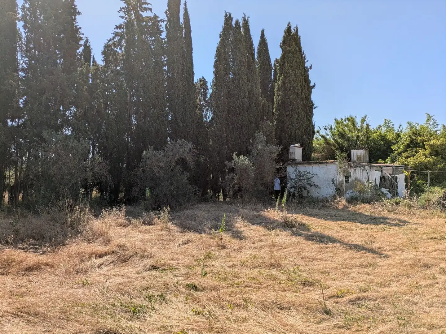 Land for sale in Castejón del Puente