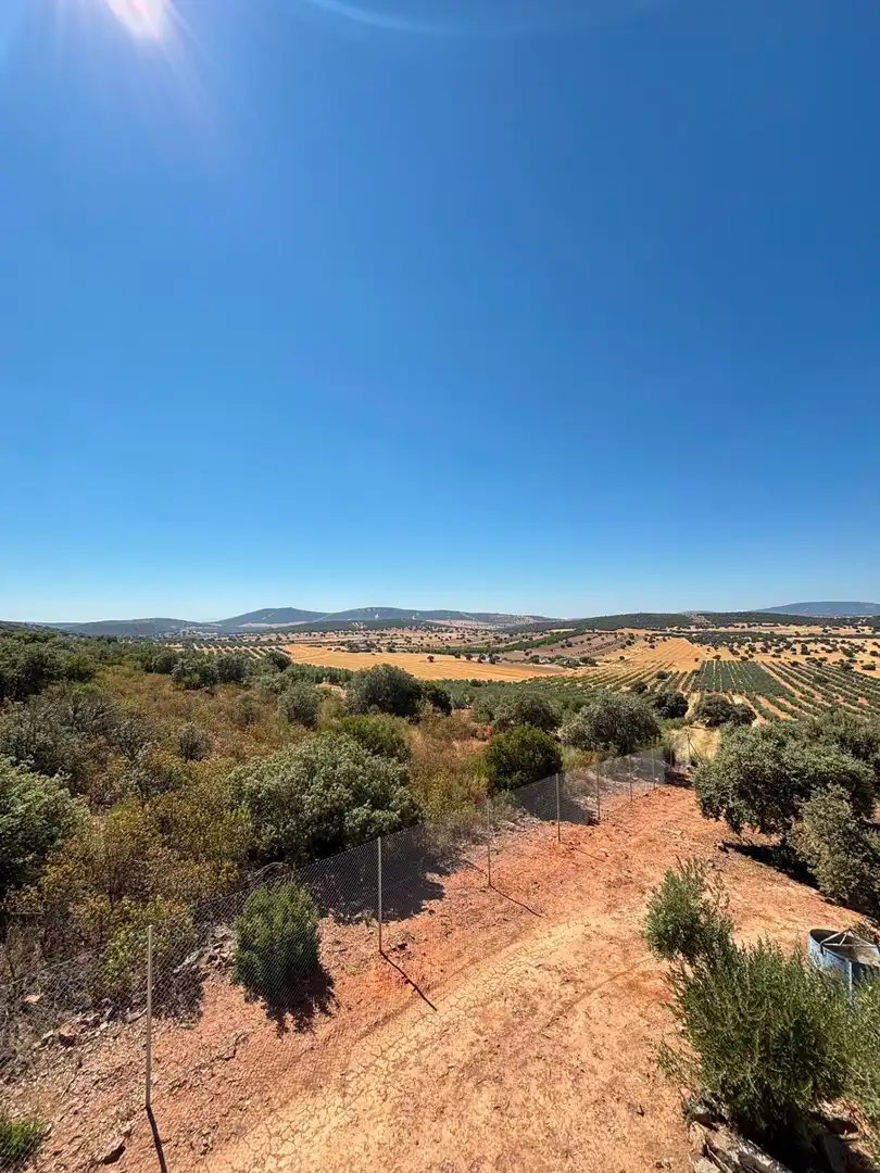 Casa amb jardí en venda a Torre de Juan Abad, imagen 58