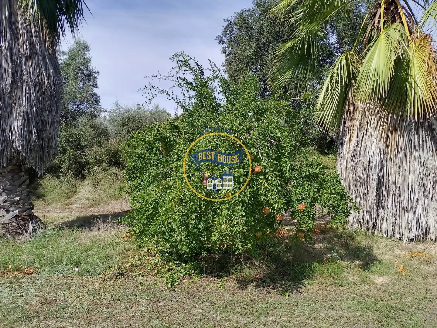 Terrenys i solars en venda a Agullent, imagen 24