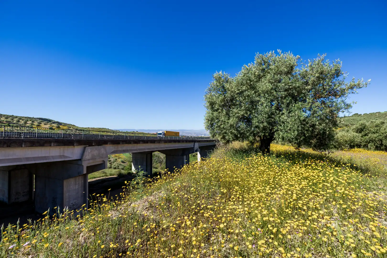 Rustikales Grundstück zum Verkauf in Paraje del molino 2, imagen 14