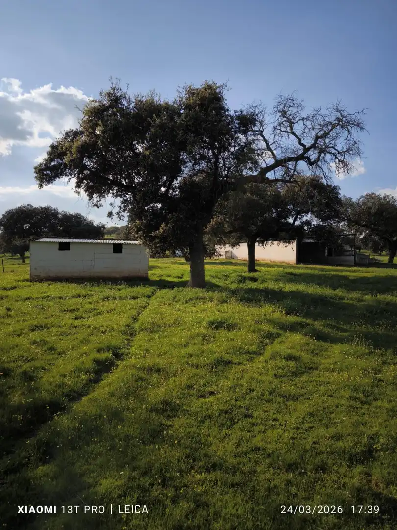 Residencial en venta en Fuente Obejuna