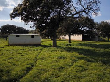 Lands and plots for sale in Fuente Obejuna