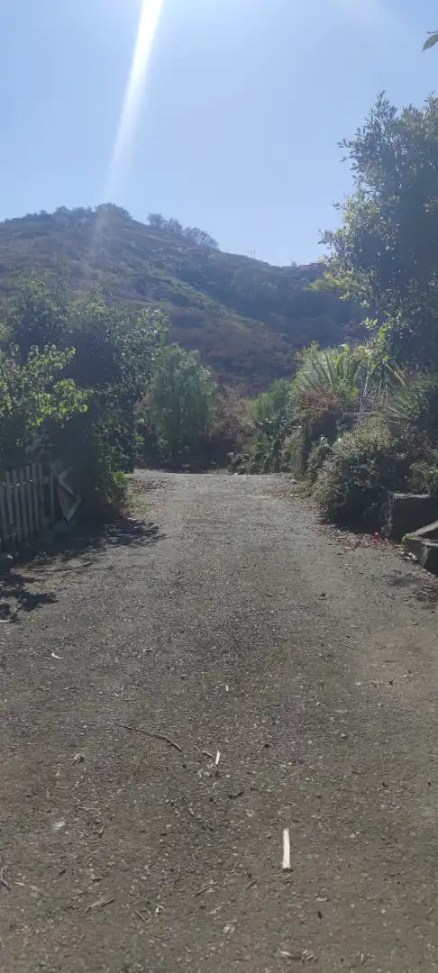 Vista exterior de Terreno en venta en Tegueste