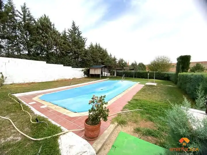 Piscina de Finca rústica en venta en Don Álvaro