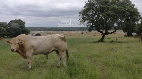 Photo 5 of Land for sale in Barrio del Centro, Salamanca