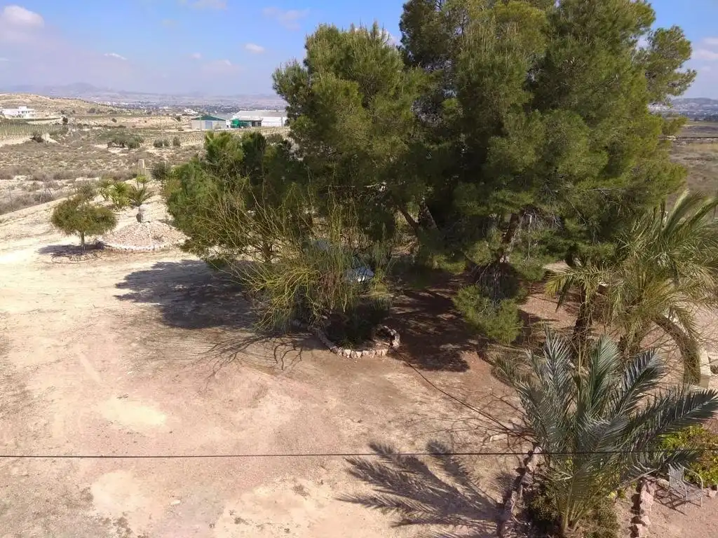 Houses for sale in Novelda  with Private garden, Terrace and Swimming Pool