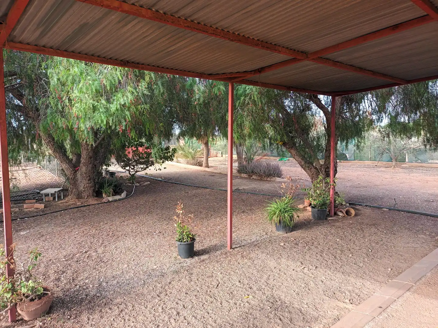 Garden of Houses for sale in Cartagena  with Terrace, Swimming Pool and Furnished