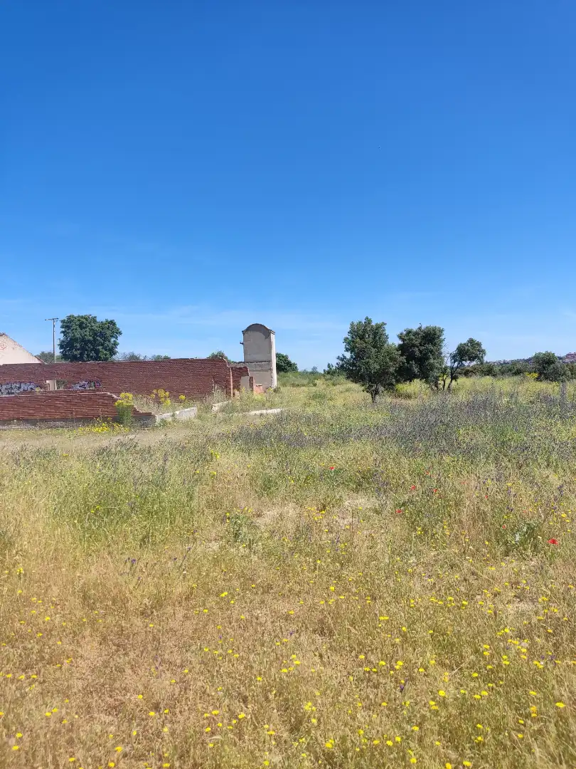Land for sale in Navalcarnero
