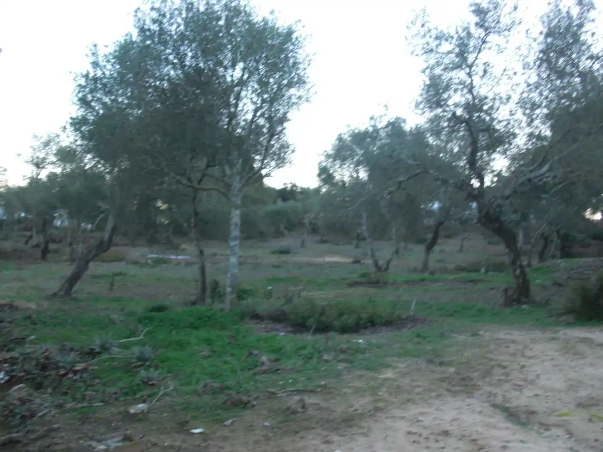 Casa rústica en venda a Barbate ciudad, imagen 15