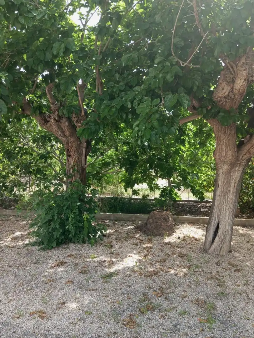 Casa rústica en venta en Redován, imagen 8