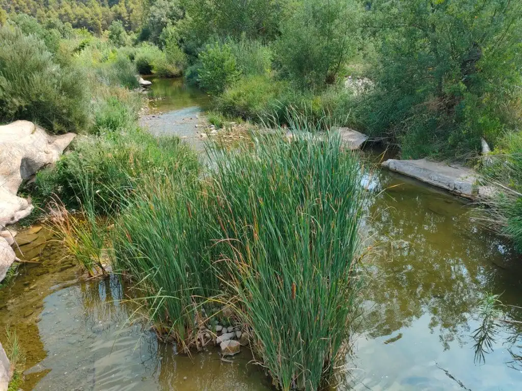 Terreni e lotti in vendita a Arens de Lledó, imagen 13