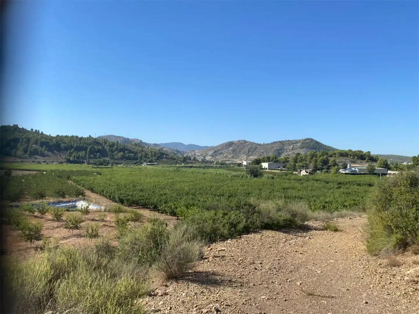 Terreno industrial en venta en Caravaca de la Cruz