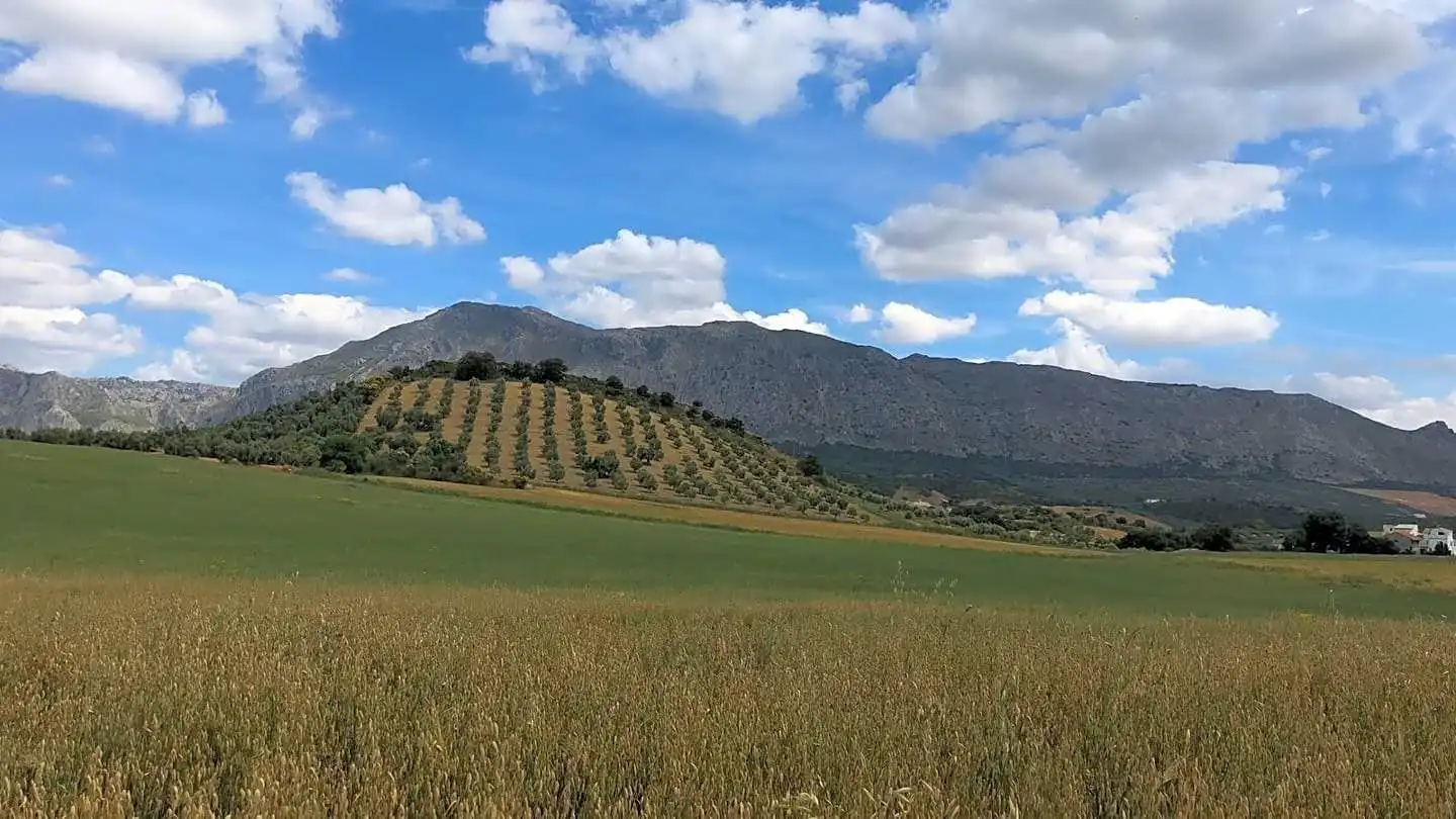 Terreni e lotti in vendita a Cueva de Menga, imagen 5