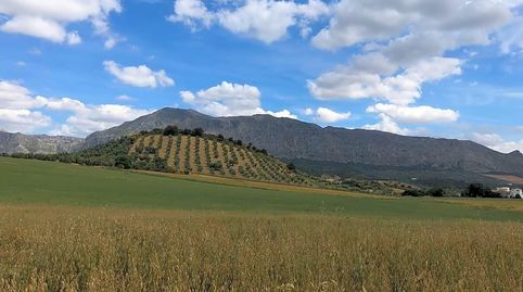 TERRENO EN VENTA HAZA DE ATANARES Y COLLADO ANTEQUERA, imatge 5