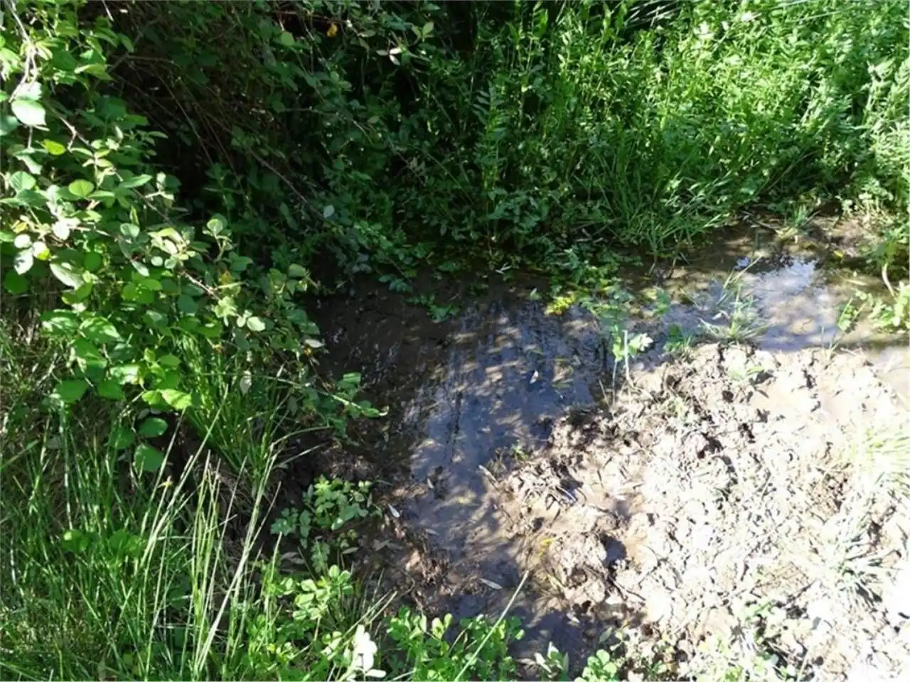Wohnbaugrundstück zum Verkauf in Paüls, imagen 13