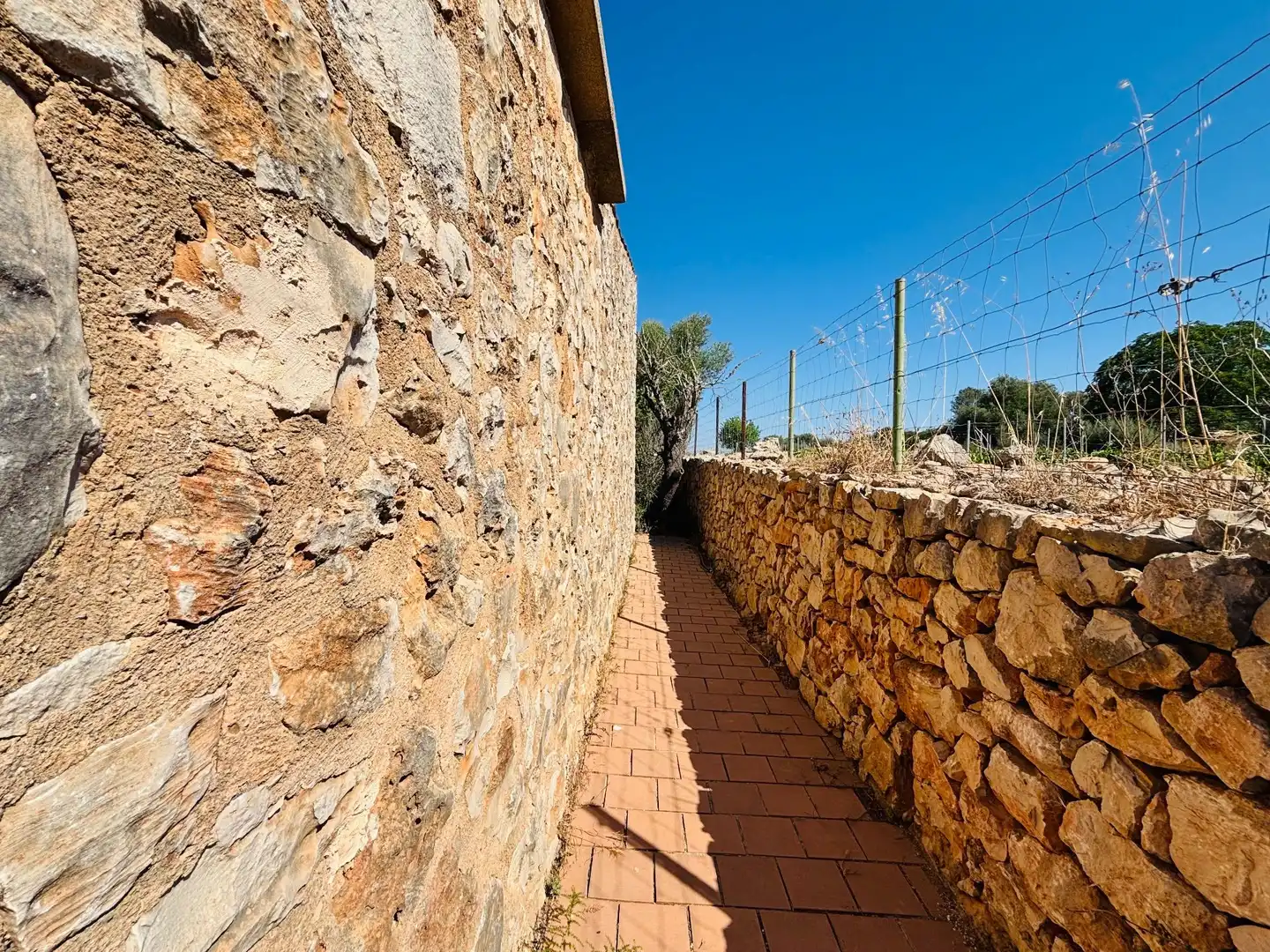 Finca rústica en venda a Felanitx Poble