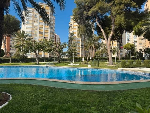Piscina de Apartamento en venta en Benidorm con Aire acondicionado, Terraza y Horno