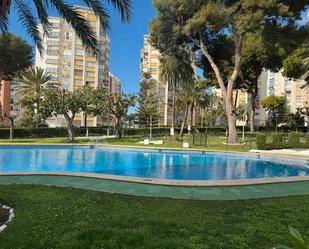 Swimming pool of Apartment for sale in Benidorm  with Air Conditioner, Terrace and Oven