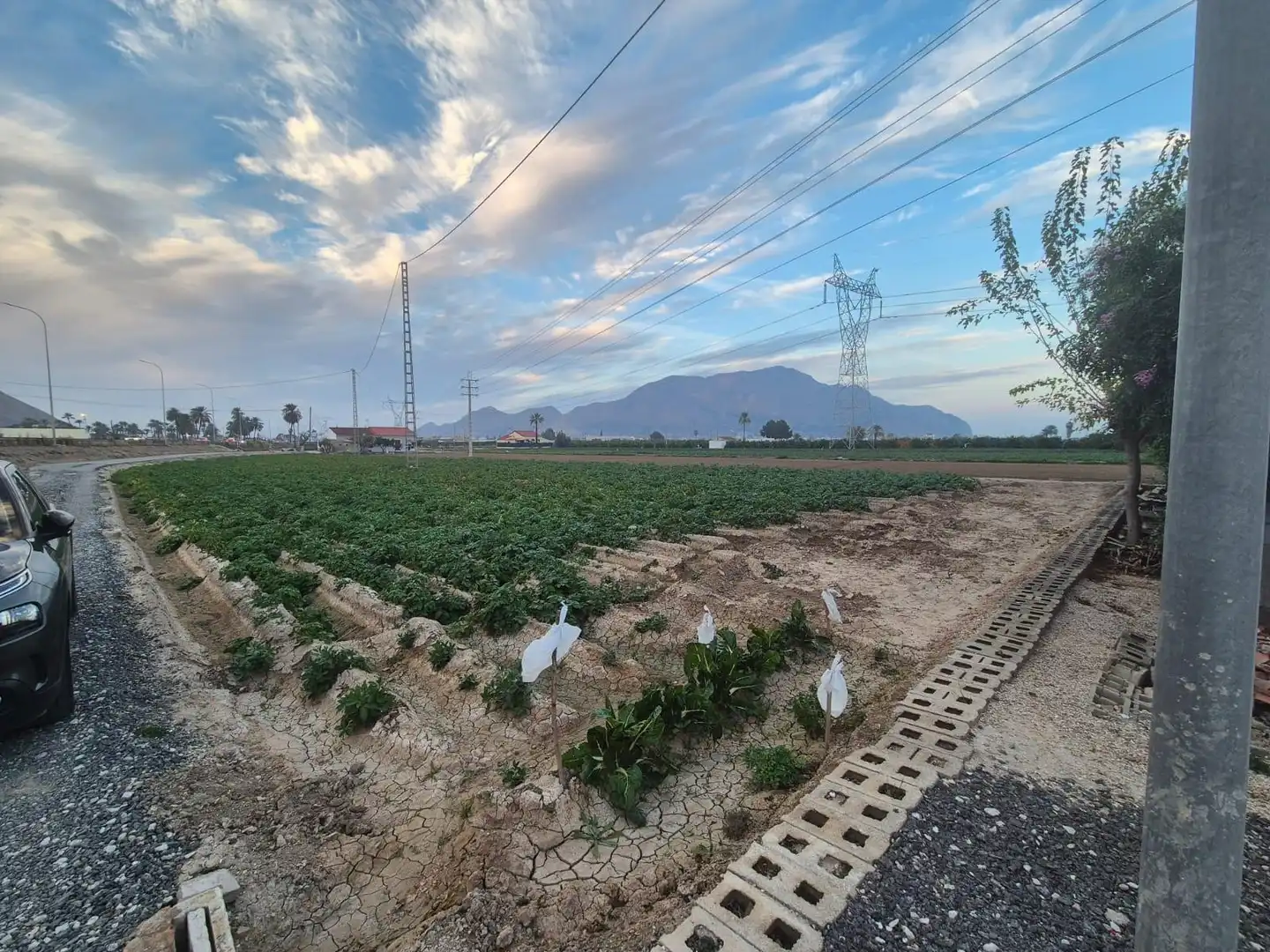 Casa con jardín en venta en Orihuela ciudad, imagen 36