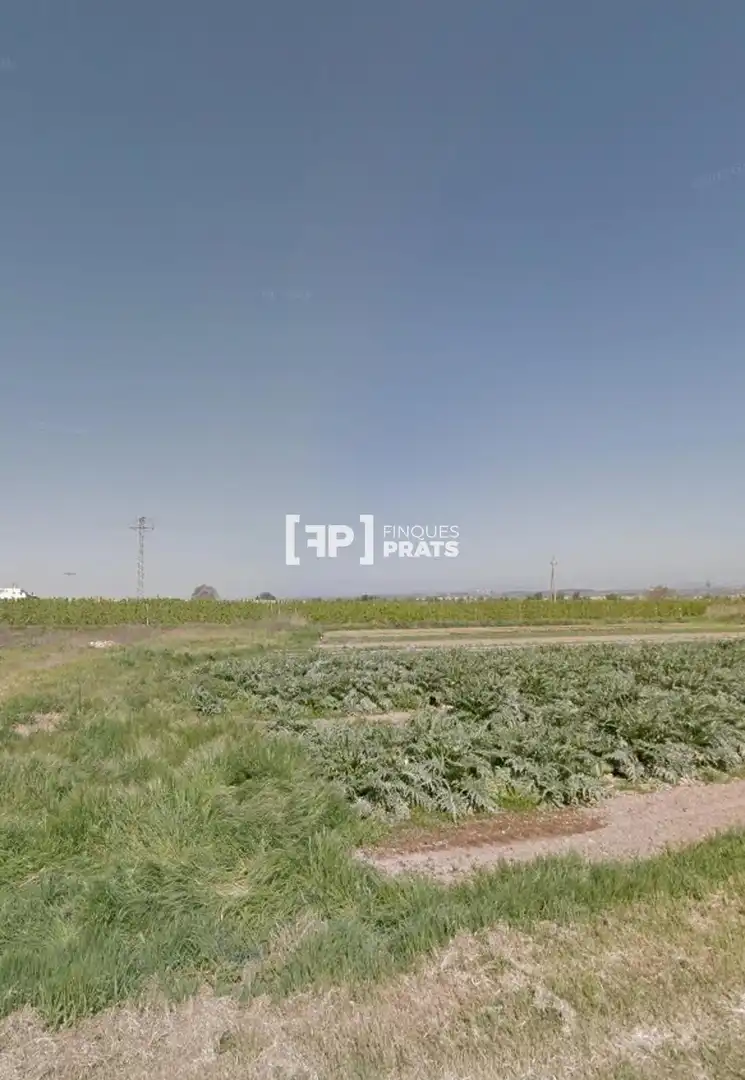Terreno rústico en venta en LA PLANA DE BOLDÚ, imagen 4