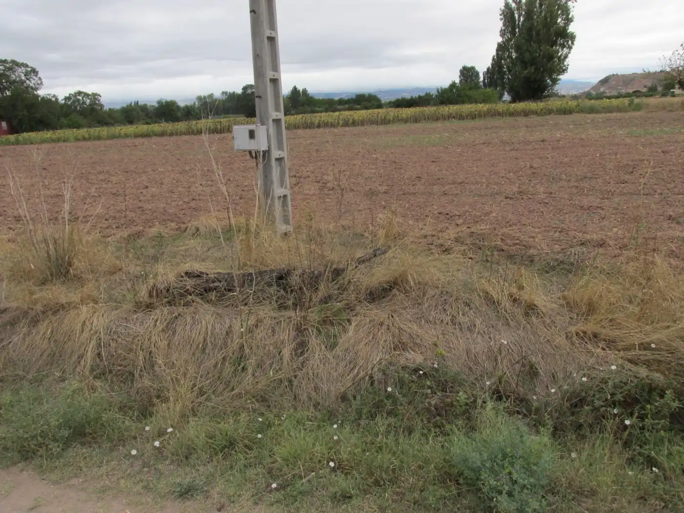 Terreny rústic en venda a Camino Polígono 13, imagen 3