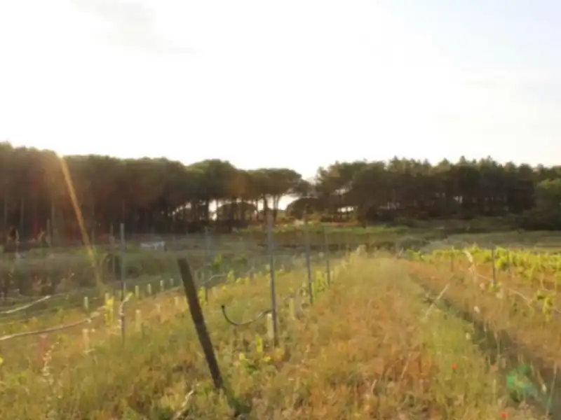 Maison à vendre à Tordera pueblo, imagen 3