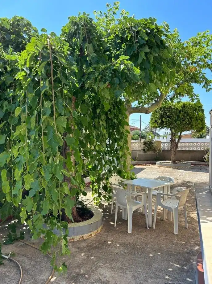 Terrassa de Casa o xalet en venda en Vinaròs amb Calefacció, Jardí privat i Terrassa