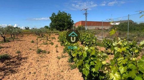 Foto 3 de Terreno en venta en Poligono 13, Calera y Chozas, Toledo