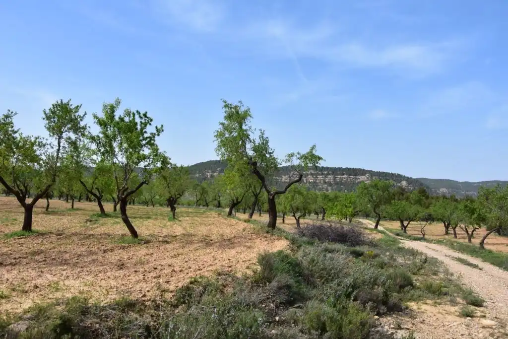 Country homes for sale in Ráfales