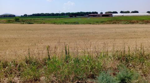 FINCA RUSTICA CON FACHADA A LA CARRETERA, immagine 3